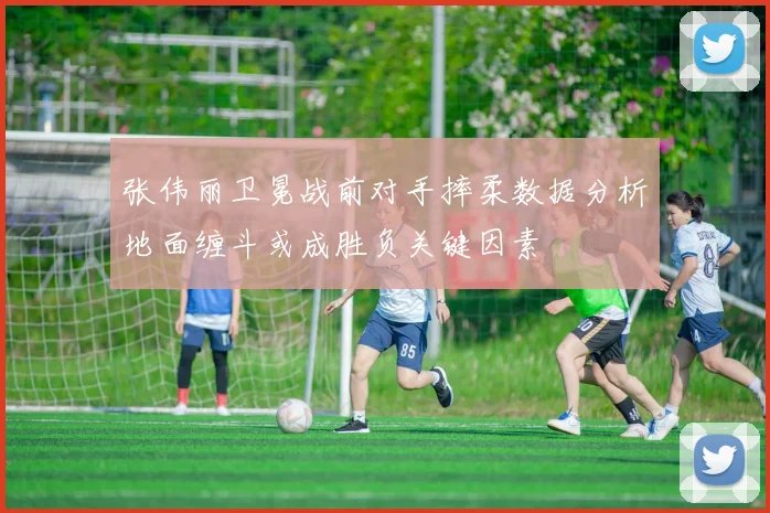 张伟丽卫冕战前对手摔柔数据分析地面缠斗或成胜负关键因素