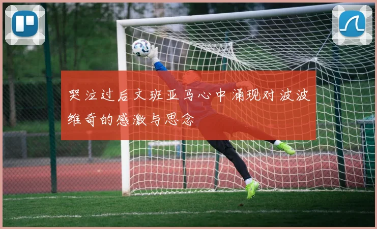 哭泣过后文班亚马心中涌现对波波维奇的感激与思念